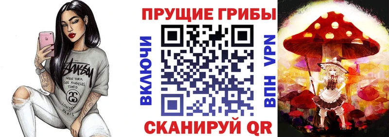 гидра ссылка  Дегтярск  Галлюциногенные грибы Psilocybe 